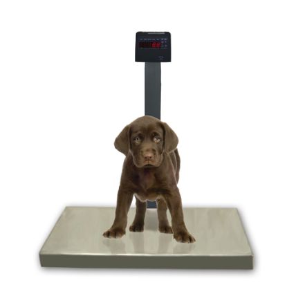 Balança Aço Carbono Para Pet Com Bateria 200 Kg DPB Cód. 6011 Ramuza